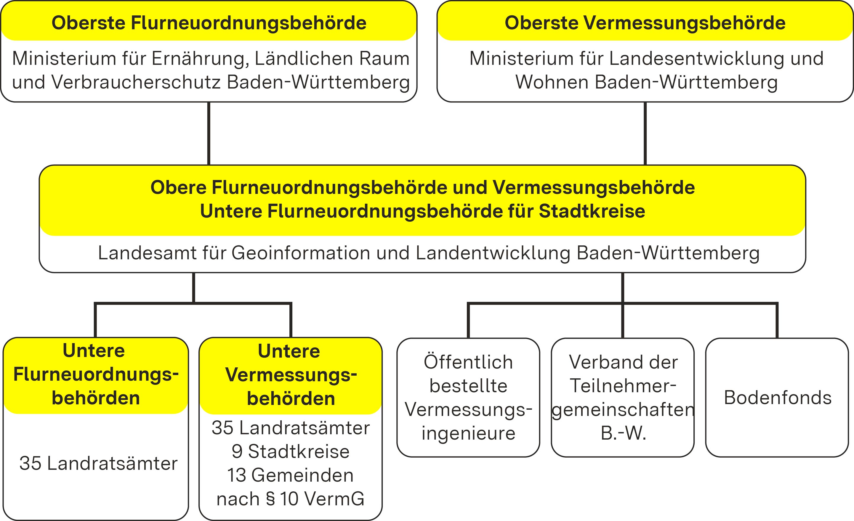 Organigramm_neu