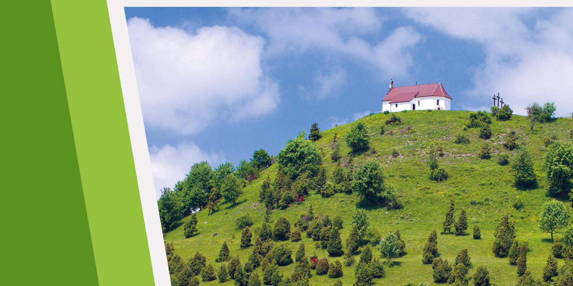 Titel_W242_Sonnenbühl_2025_SAV