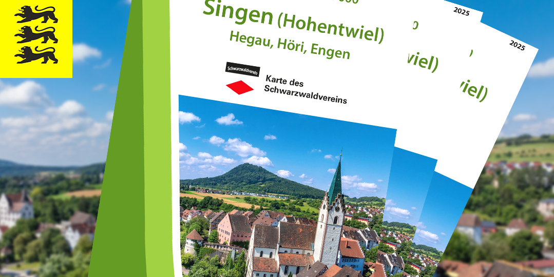 WK25 Singen