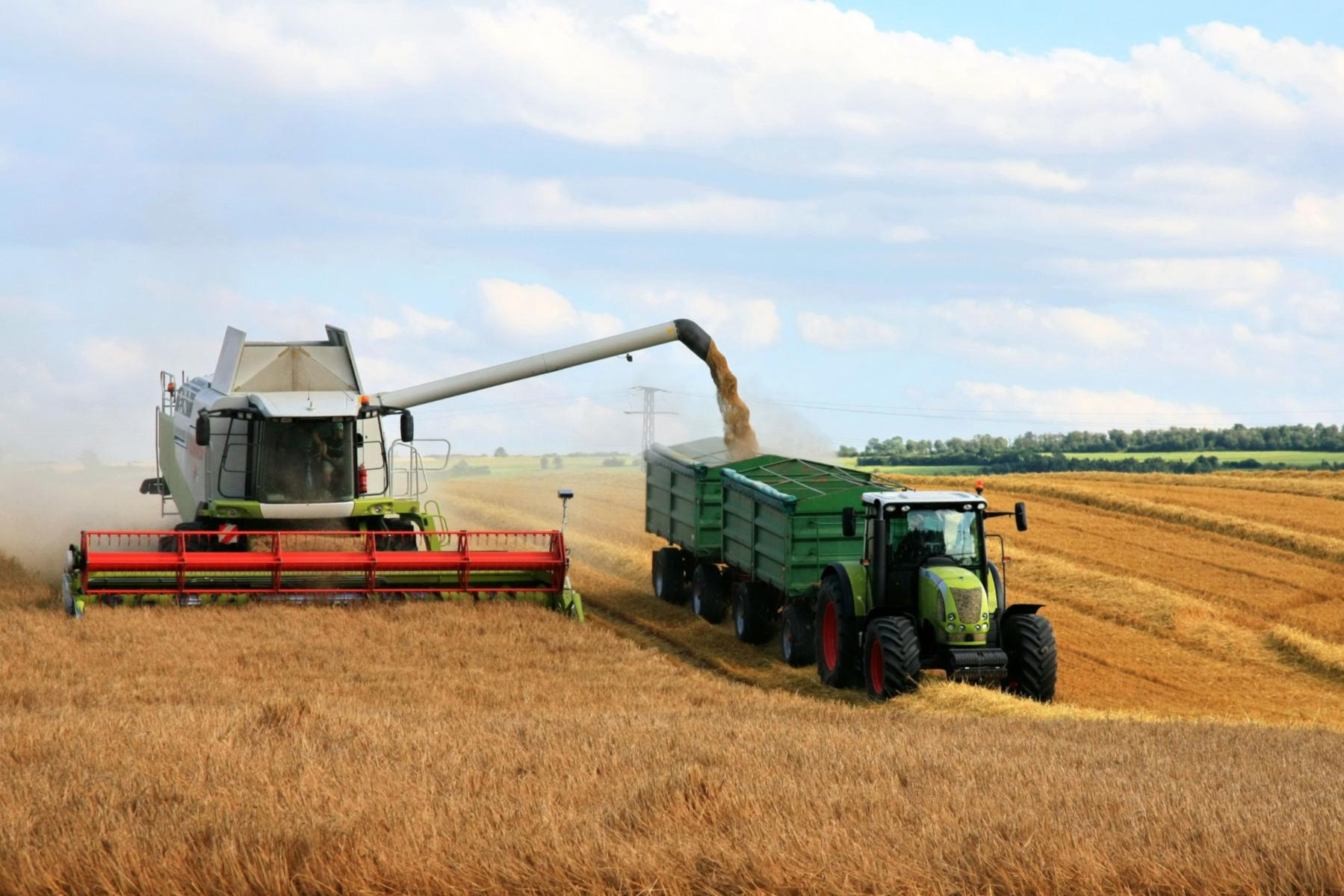 Landwirtschaft