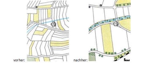 Grafische Darstellung Eigentumsstruktur vor und nach der Neuordnung