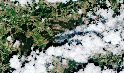 Überwachung von Waldbränden in Deutschland